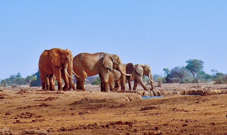 satao-camp-tsavo6